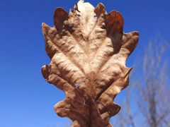 -帽儿山国家森林公园