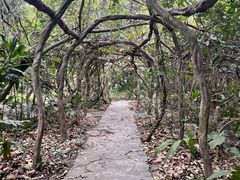 -广西壮族自治区药用植物园