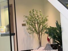 -星光大道KTV(金沙洲店)