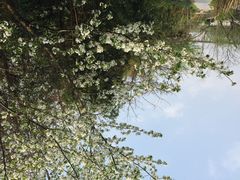 花溪十里河滩湿地公园-贵阳市花溪国家城市湿地公园