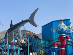 -海合安武汉极地海洋公园