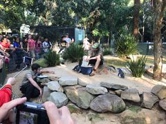 -费瑟代尔野生动物园