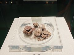 -青藏高原自然博物馆
