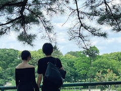 -名古屋城