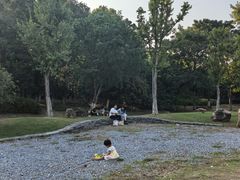 -武汉园博园(武汉自然博物馆)