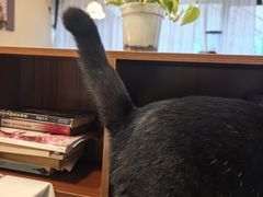 -路易时光(蕴川路店)