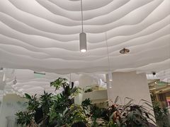 -大树餐厅(朝阳大悦城店)