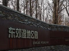 -东郊湿地公园