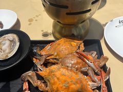 -初色海鲜自助(万丰路店)