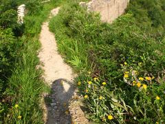 -蟠龙山长城景区