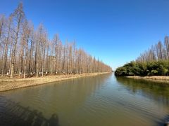-黄海国家森林公园