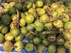 -洪湖湿地生态园