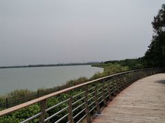 -江滩湿地公园