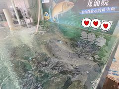 -洞密园美食城·二十二年老店(富华路店)