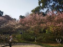 -南山植物园