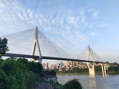 -大渡口区义渡公园