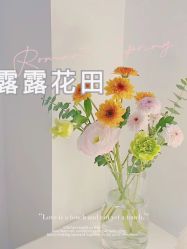-苗方清颜痘肌研究所