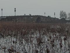 -西湖游船