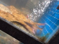 -码头鲜精致威海菜(欧乐坊店)