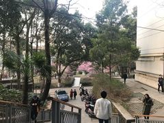 -梅园食堂