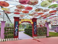 -广东花都香草世界旅游度假区