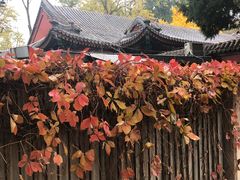 -周黑鸭(北京东城区国瑞店)
