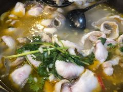 石锅乌鱼-大鼎石锅鱼(春江里店)