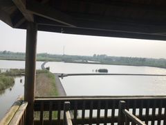 -盐城丹顶鹤湿地生态旅游区