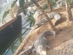 -石家庄市动物园