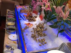 -雅枫国际酒店—枫叶自助餐(福田店)
