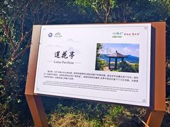 -大姆山草场