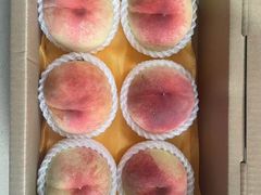 -老袁家蜜桃农场·阳山水蜜桃