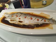 -圣龙馨水匯