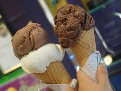 -Dooley's Premium Ice Cream