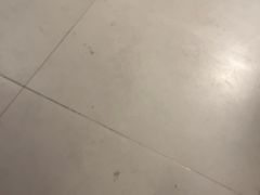 -宴全牛粤来越牛潮汕鲜牛肉火锅(海州万达广场店)