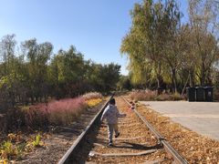 -永定河休闲森林公园