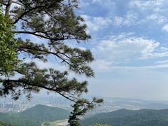 -惠山国家森林公园