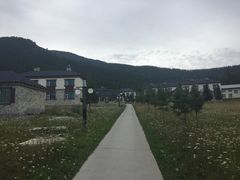 -喀纳斯鸿福生态度假酒店
