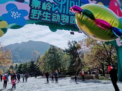-西安秦岭野生动物园