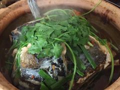 -华仔土鸡店(创意产业园店)