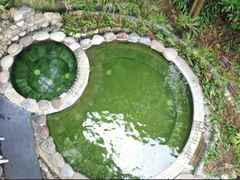 -花水湾第一村温泉大酒店