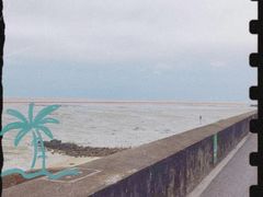 -北海金海湾红树林生态旅游区