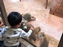 -杭州野生动物世界