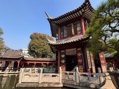 -碧江金楼