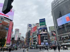 -涩谷区