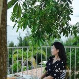 我永远爱厦门的海☕绝美海岸线咖啡厅