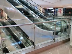 -西树泡芙(凯德晶品店)