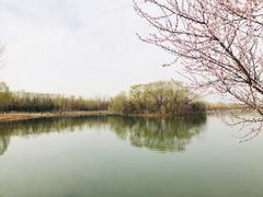 -大兴滨河森林公园