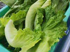 -源港渔村-中山脆肉鲩(博罗店)
