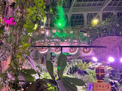 -正佳雨林生态植物园